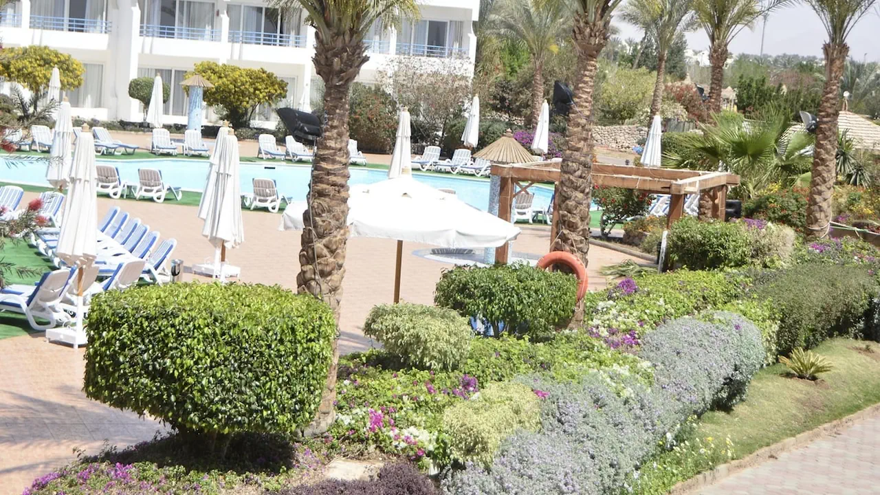 Hotel Queen sharm resort - Sharm Elshikh